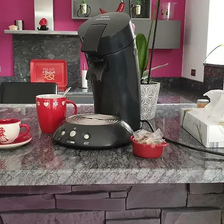 La Griffe A Foin, Kaysersberg - Maison De 300 M Jacuzzi Et Sauna Privatif Semesterbostad *