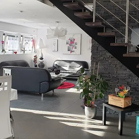 Semesterbostad La Griffe A Foin, Kaysersberg - Maison De 300 M Jacuzzi Et Sauna Privatif